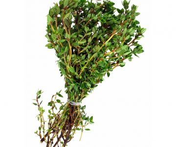 Thyme-Extract-3
