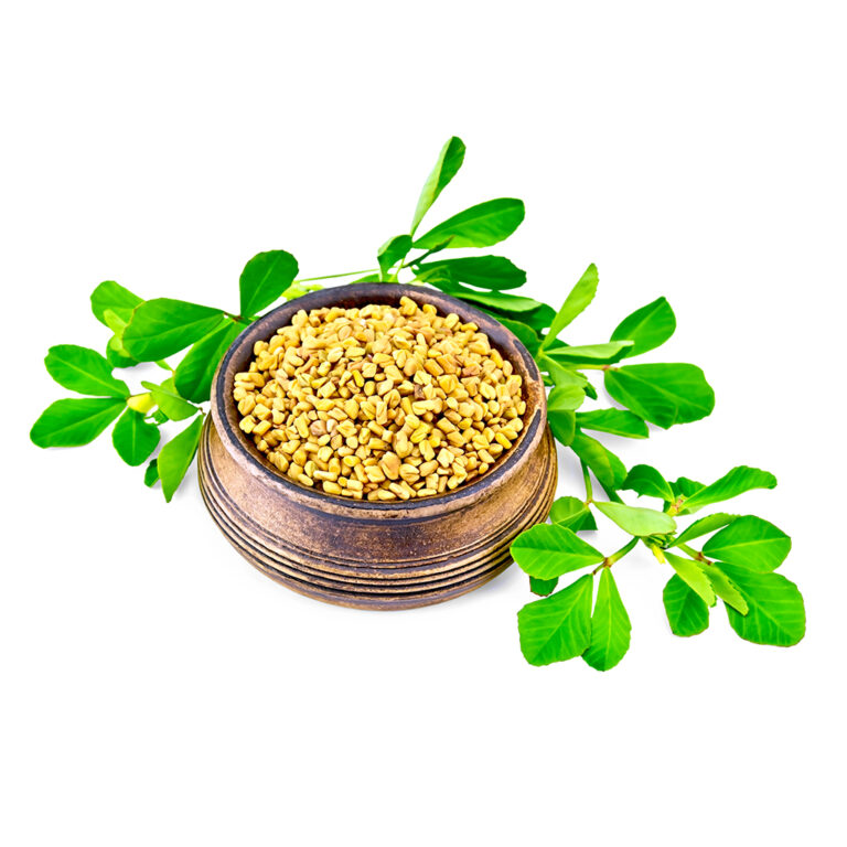 Fenugreek Extract Bionorm